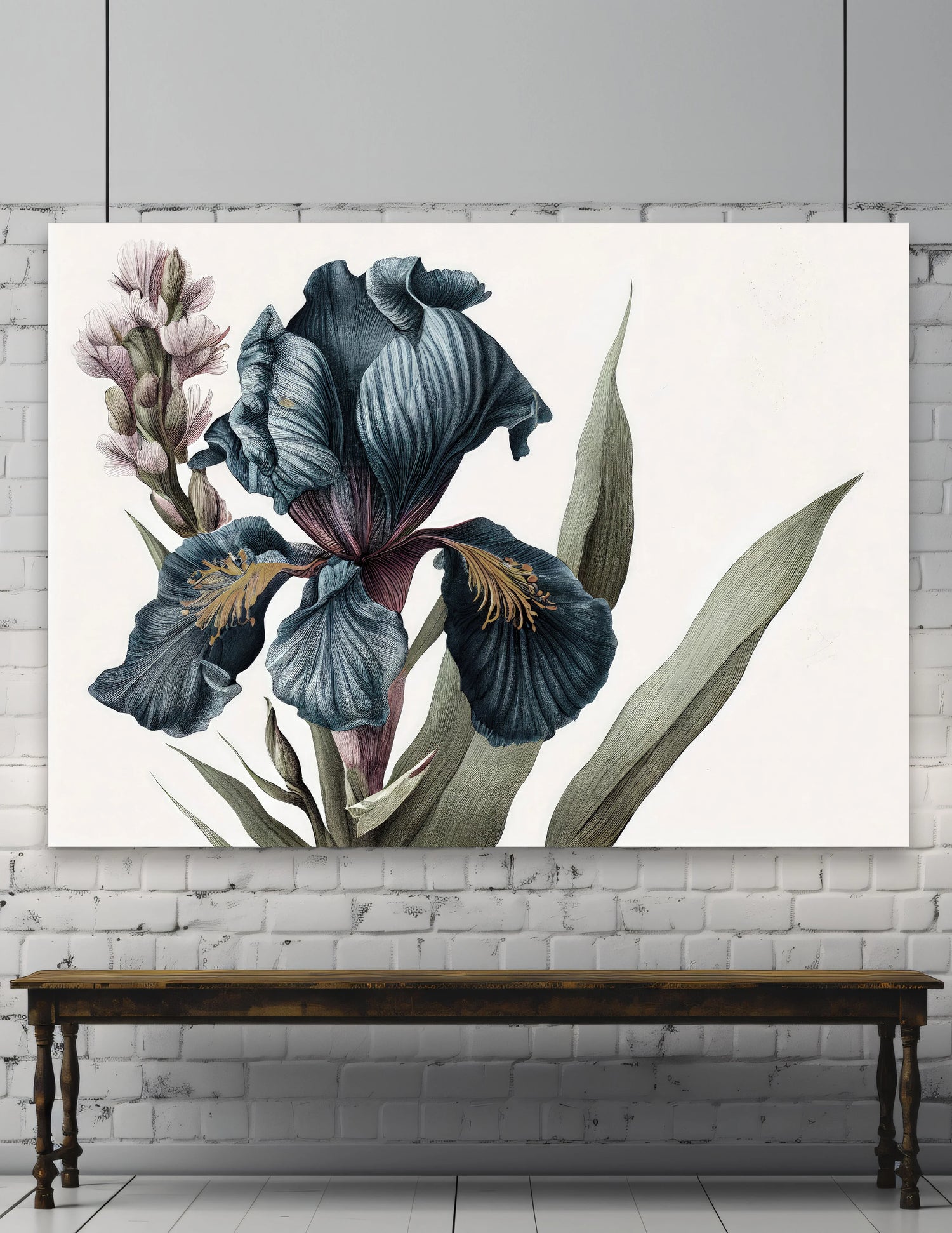 Botanical Collection