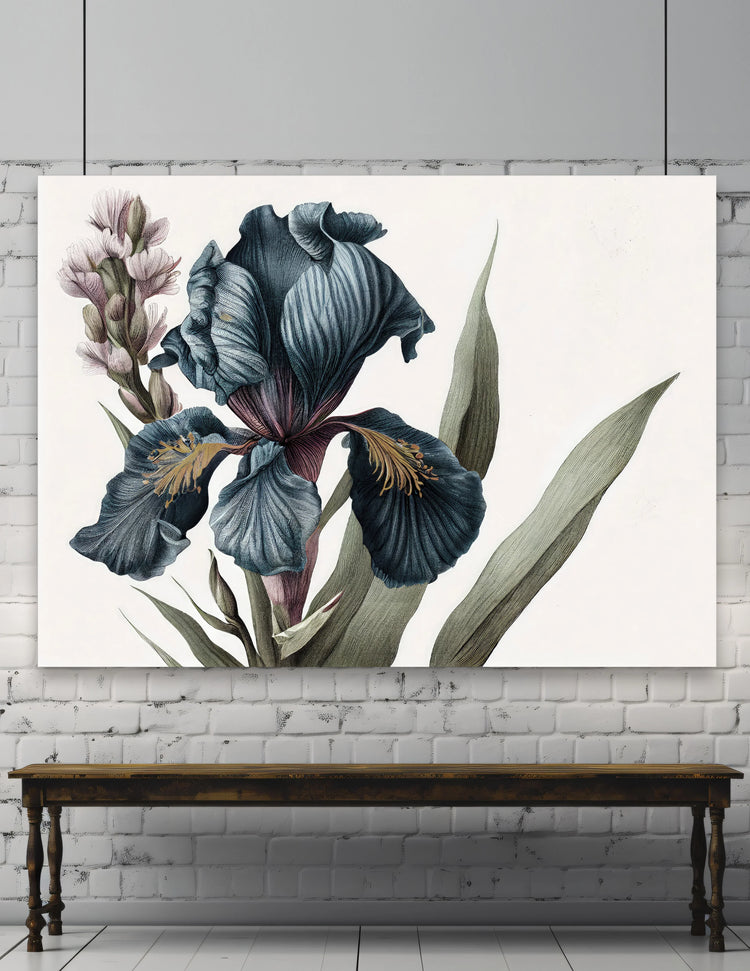 Botanical Collection