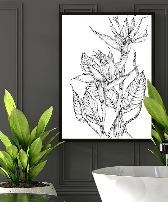 Bird of paradise In Line