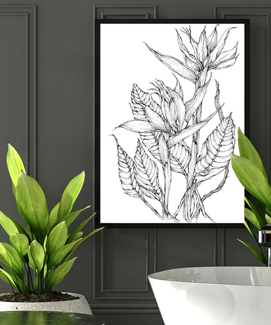 Bird of paradise In Line