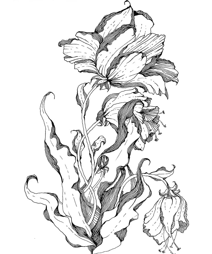 Botanics II, In Line