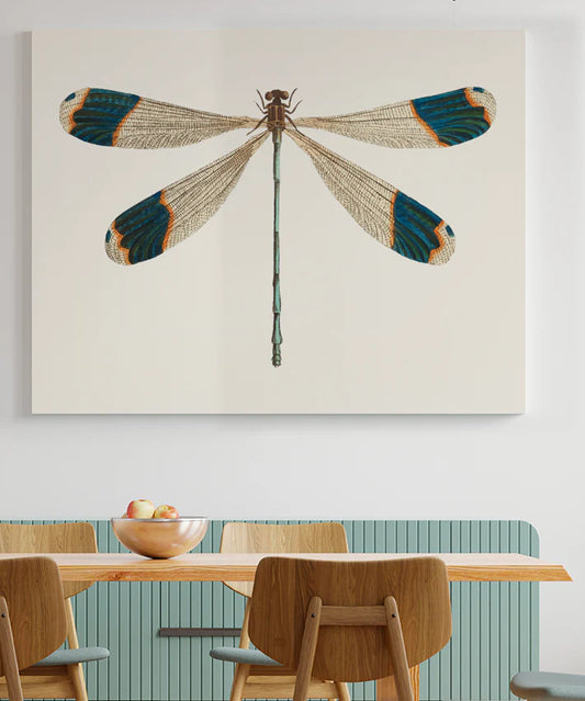 Dragonfly I