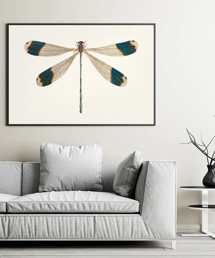 Dragonfly I
