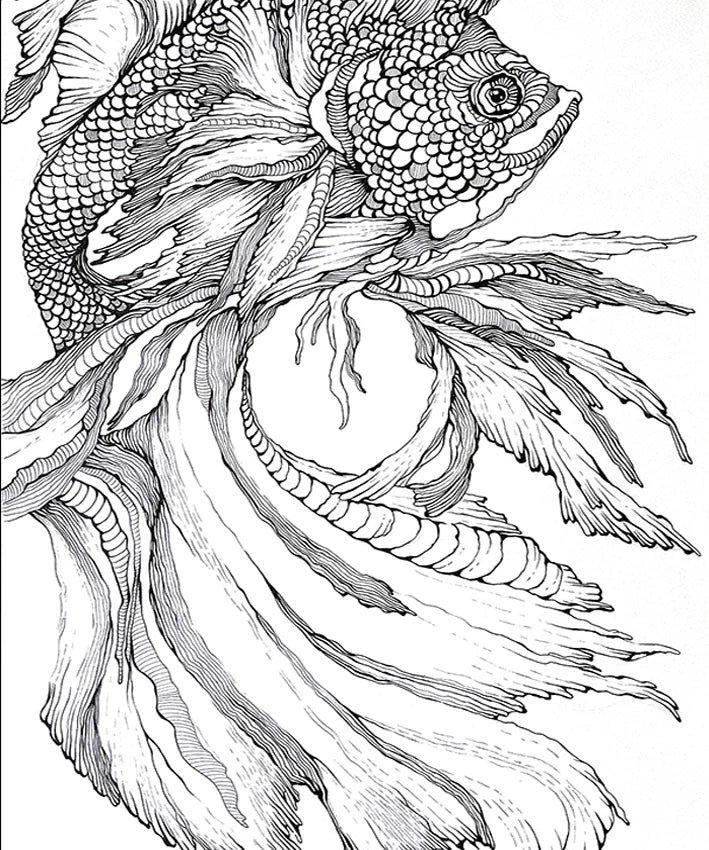 Floating Fish I In Line